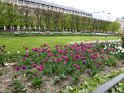 2015-04-16 15-11-34 Passages Couverts Parisiens CGn